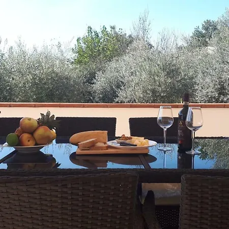 Villa L'olivarosa